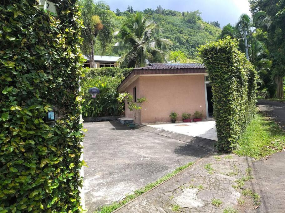 Vacation House In Tahiti Punaauia  Esterno foto